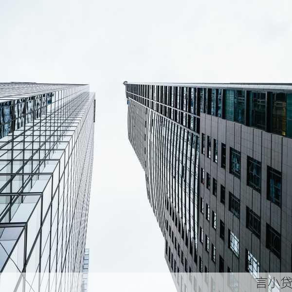 小额贷循环借，金融便利与风险的双面剖析
