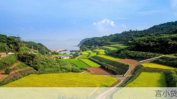农业助业循环贷，赋能农业发展，共绘乡村振兴新篇章