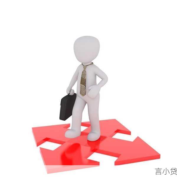 贷款机构，金融领域的多面角色与深远影响