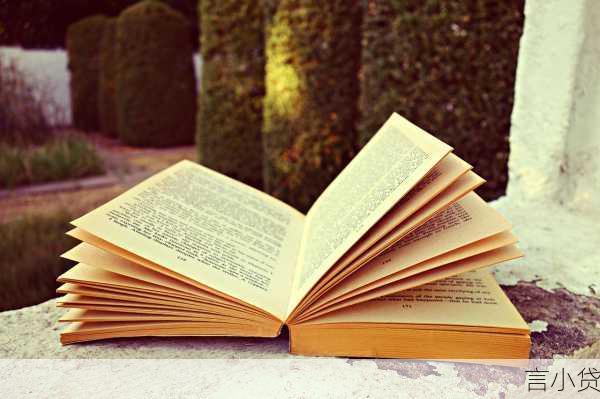 贷款45万，开启梦想与责任的金融之旅