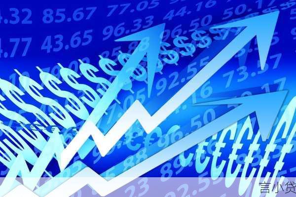 玉林贷款公司，金融行业的多元力量