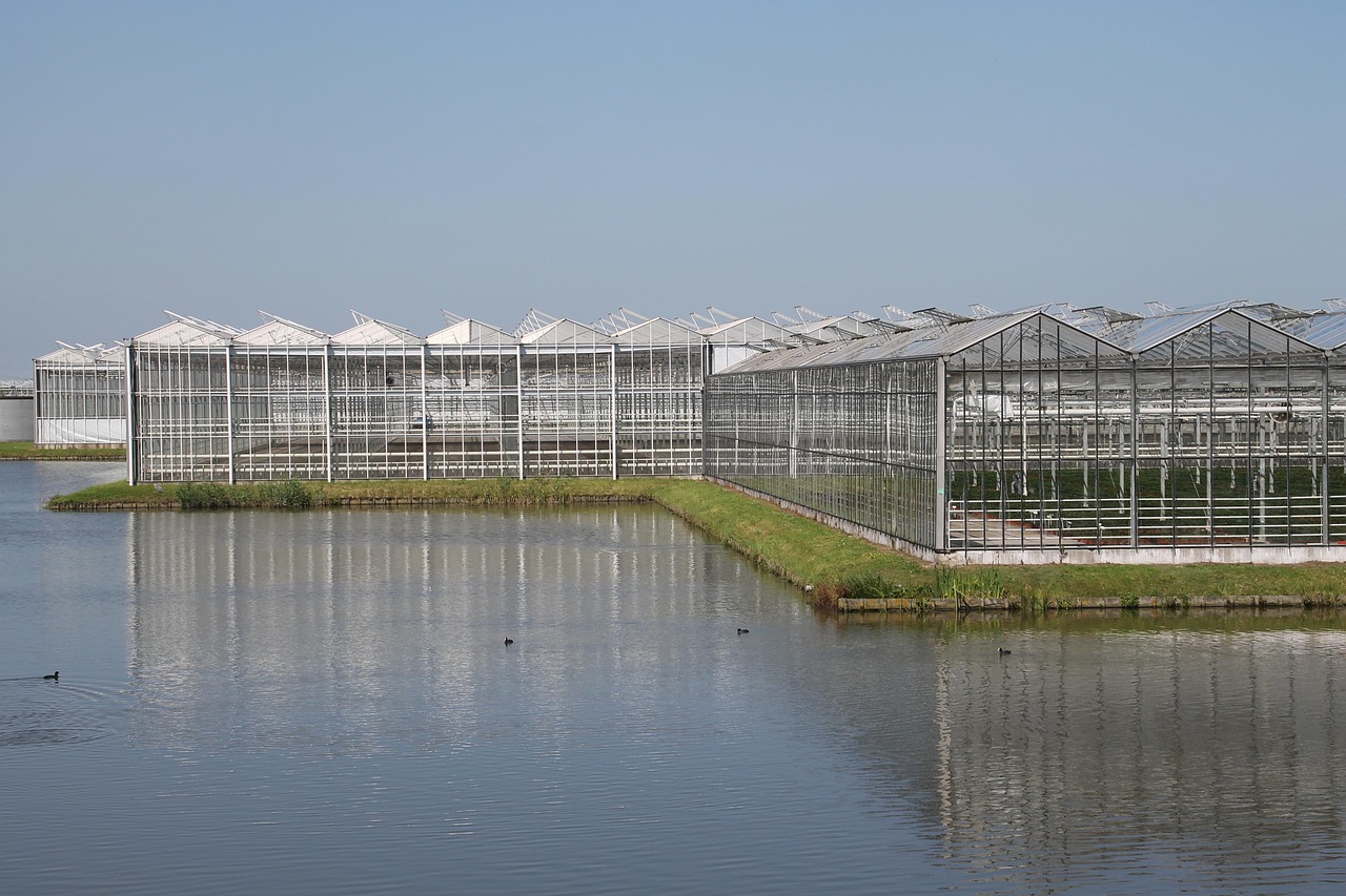 农业种植贷款，助力农业发展的关键金融支持