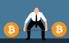 光大循环易贷依然存在且正常开展业务。以下是关于它的详细介绍