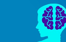 邮政循环贷是否需要扫脸？深度解析与相关探讨