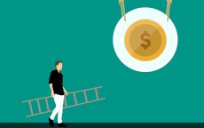 白领贷额度循环，金融便利与风险的深度剖析